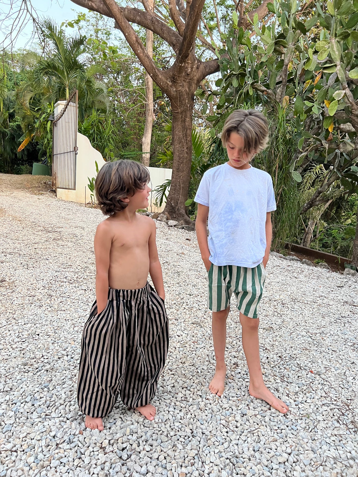 Beckett Shorts - 2 Colors