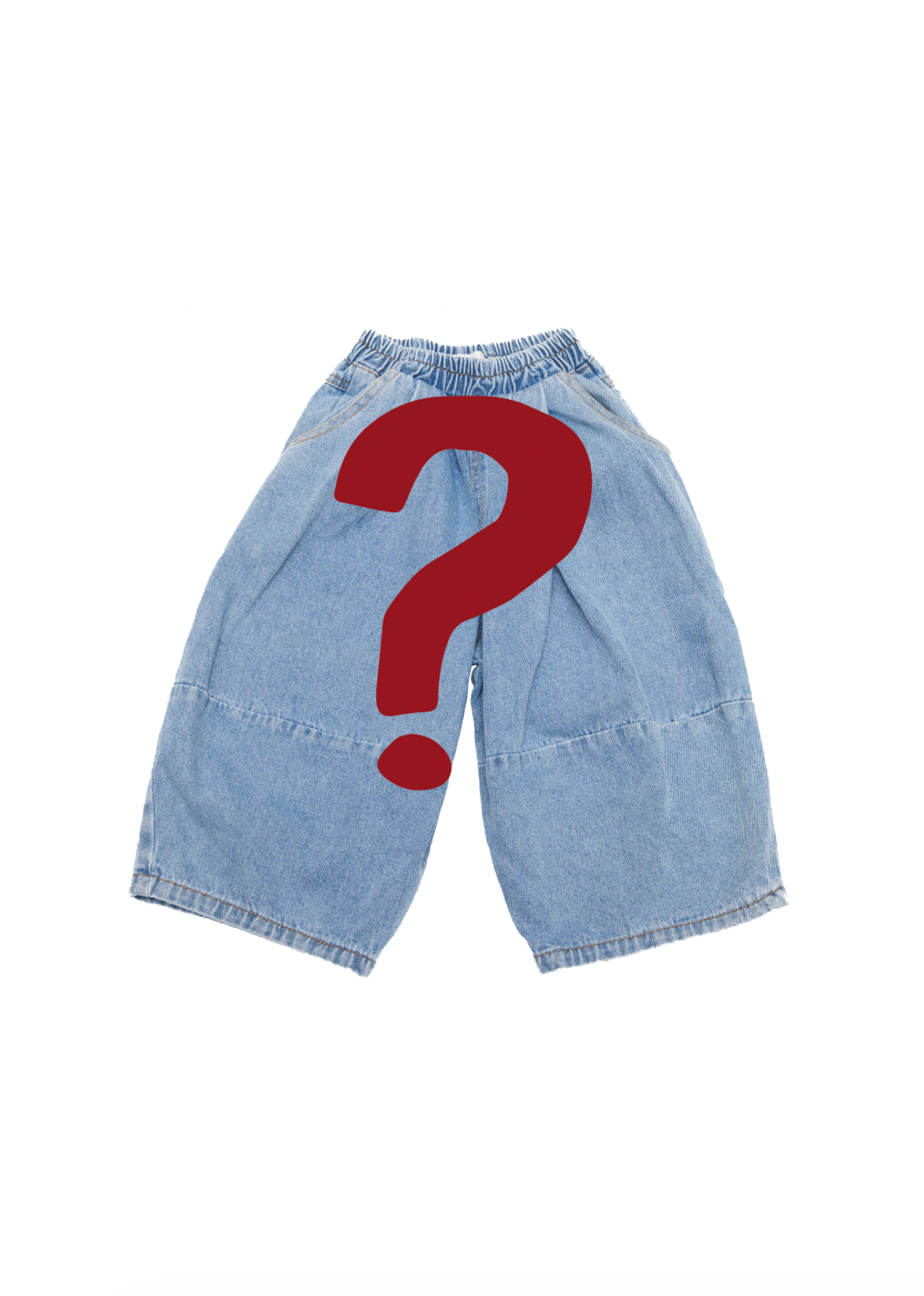 Frankie Oversized Denim Pant - Surprise Me!